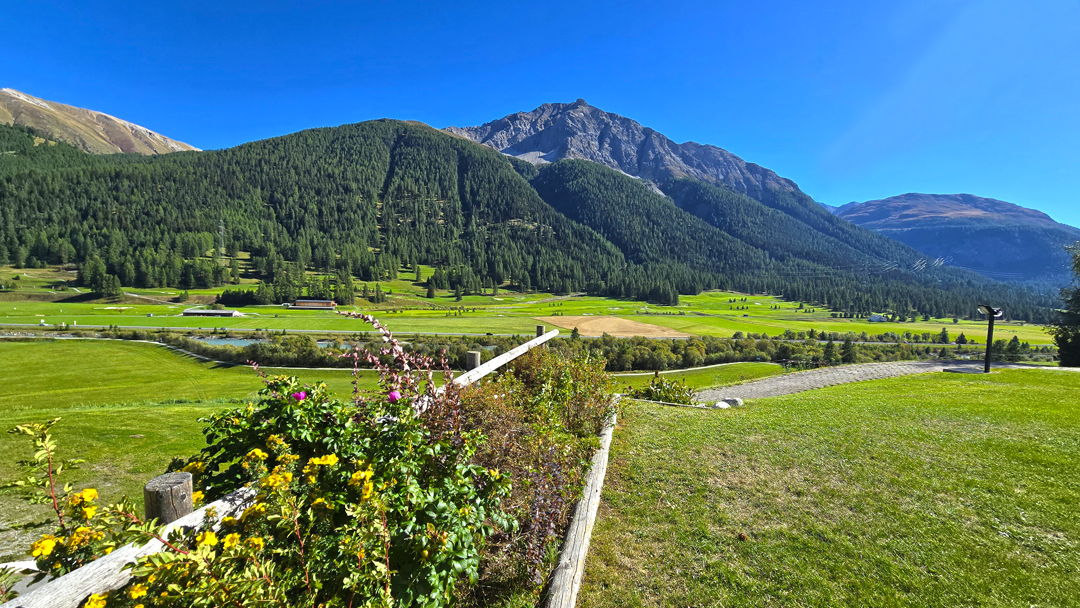 Immobilien 20260915 154555
